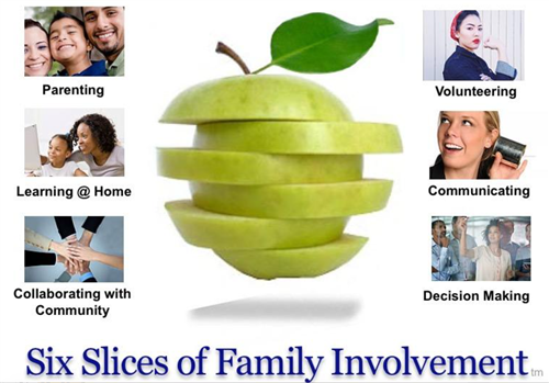 Six slices of Family 
